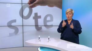 Yle Uutiset viittomakielellä: 13.08.2016 16.55