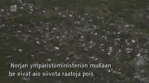 Yle Oddasat: 01.09.2016 15.15