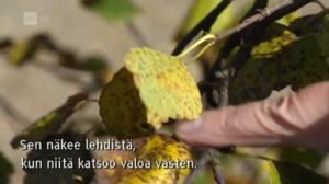 Yle Oddasat: 07.09.2016 15.15