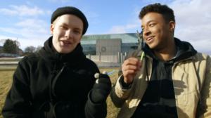 Totuus vai tehtävä 2: Tienaa katusoitolla: 22.08.2016 08.00