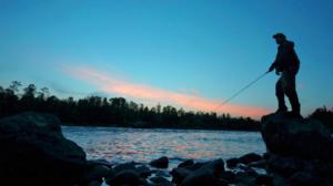 Peltsin Lappi: Lemmenjoki: 05.11.2016 00.01