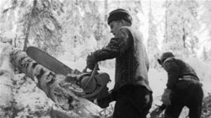 Metsästä mieheen: 03.11.2016 01.00