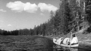 Posion erakko: 25.07.2016 12.00