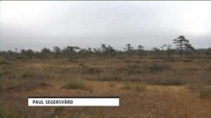 Luonto lähellä (S): 17.10.2016 08.23