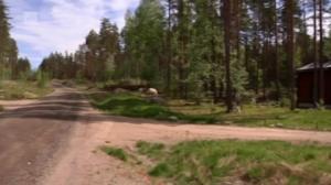 Yle Uutiset selkosuomeksi: 02.11.2016 15.10