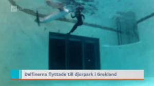 Yle Nyheter TV-nytt: 28.08.2016 19.30