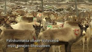 Yle Oddasat: 24.10.2016 15.15