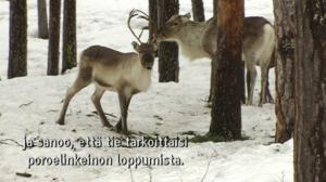 Yle Oddasat: 26.10.2016 15.15