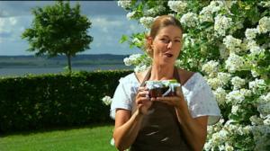 Metten kesäiset jälkiruokaherkut: 10.07.2016 20.52