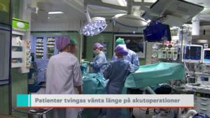 Yle Nyheter TV-nytt: 11.10.2016 19.30