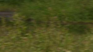 Yle Nyheter TV-nytt: 01.09.2016 19.30