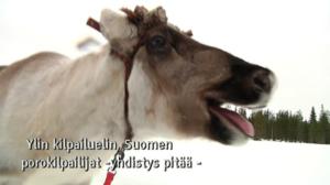 Yle Oddasat: 01.11.2016 15.15