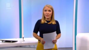 Yle Nyheter TV-nytt: 13.08.2016 19.30
