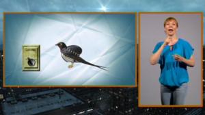 Pressiklubi viittomakielellä: 05.06.2016 11.15