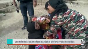 Yle Nyheter TV-nytt: 17.11.2016 19.30