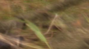 Yle Nyheter TV-nytt: 19.09.2016 19.30