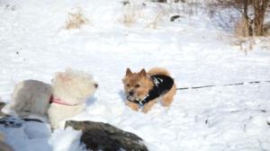 Minä ja Max: 18.09.2016 12.00