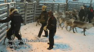 Yle Oddasat: 10.11.2016 15.15