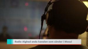 Yle Nyheter TV-nytt: 19.10.2016 19.30