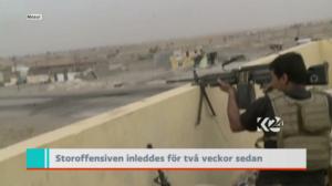 Yle Nyheter TV-nytt: 01.11.2016 19.30