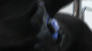 Yle Nyheter TV-nytt: 12.08.2016 19.30