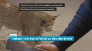 Oddasat: 09.06.2016 20.45