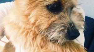 Minä ja Max: 18.09.2016 12.00