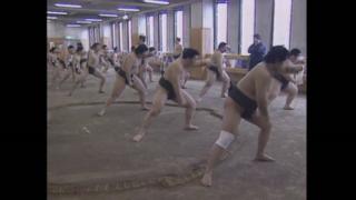 VICE: Life After Sumo: 27.05.2016 15.00