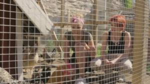 Puhu mummoa: Ei kukko käskien laula: 05.12.2016 08.00