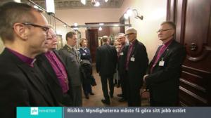 Yle Nyheter TV-nytt: 21.11.2016 17.55