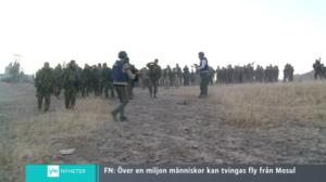 Yle Nyheter TV-nytt: 17.10.2016 17.55