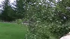 Yle Nyheter TV-nytt: 28.08.2016 17.55