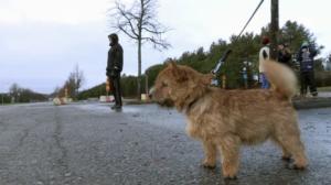 Minä ja Max: 18.09.2016 12.00