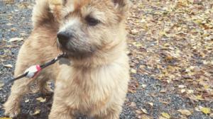 Minä ja Max: 18.09.2016 12.00