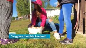 Oddasat: 06.09.2016 20.45