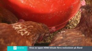 Yle Nyheter TV-nytt: 02.12.2016 17.55