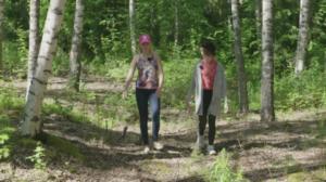 Puhu mummoa: Ei näe metsää puilta: 05.12.2016 08.00