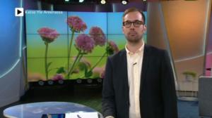 Ylen aamu-tv: Tänään otsikoissa: 11.07.2016 15.15