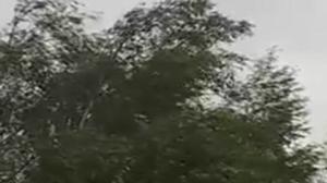 Yle Nyheter TV-nytt: 27.08.2016 17.55