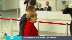 Yle Nyheter TV-nytt: 26.08.2016 17.55