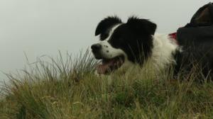 Näin Norjassa: 23.06.2016 20.35