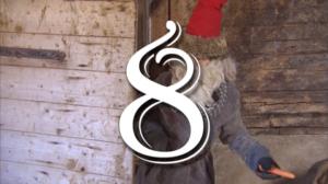 Hajbos julkalender 2016: 08.12.2016 08.12