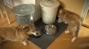 Pisara: 21.05.2016 15.10