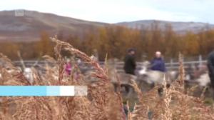 Oddasat: 15.09.2016 20.45