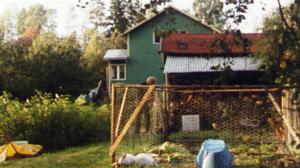 Kell' onni on: Omenapuiden varjossa: 10.10.2016 01.00