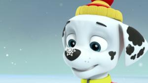 Ryhmä Hau (S): 11.06.2016 08.22