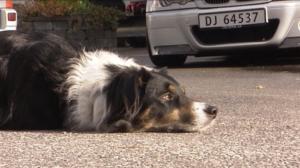 Norjaa ristiin rastiin: 01.07.2016 20.25