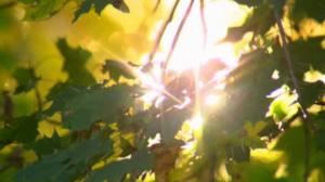 Läpileikkaus maapallosta: 05.10.2016 19.55