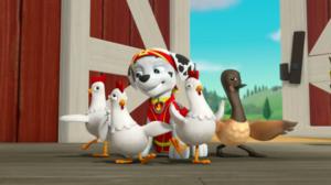 Ryhmä Hau (S): 14.05.2016 08.21