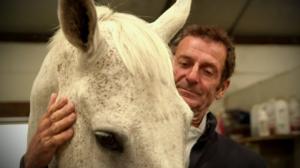 Ratsastuksen maailma: 05.08.2016 15.35